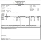 HOPLITE Test Report Page 1.JPG