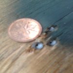 p_00169.jpg p_00169.jpg