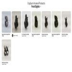 Screen Shot 2021-03-07 at 9.33.55 AM.jpg