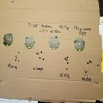 Staball primer 20210307_151129.jpg