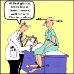 C6ElisaLymeTest.jpg C6ElisaLymeTest.jpg
