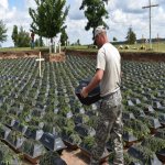 Screen Shot 2021-03-15 at 7.02.45 PM.jpg