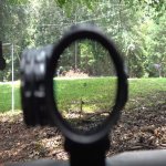 Primary Arms 1x prism 4 (Medium).jpg