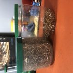 200K Spent Primers.jpg