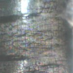PICT0008.JPG