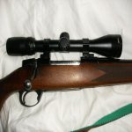 HPIM1252.jpg