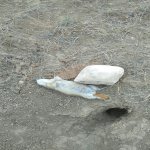 IMG_20210410_1704321.jpg