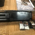 Grant's Pigeon Grade M12 1 resized.jpg