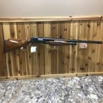 Grant's Pigeon Grade M12 2 Resized.jpg