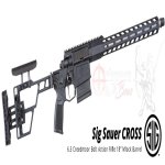 Sig-Cross-CGN.jpg Sig-Cross-CGN.jpg