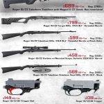 RUGER 1022 SPECIAL Poster 2.jpg