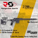 sig sauer 308 poster final.jpg