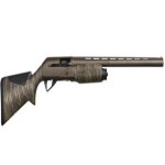 Screen Shot 2021-07-27 at 11.39.38 AM.jpg