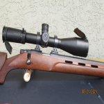 .17 HMR flip caps.jpg