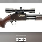 96432075-8124-4199-81F3-81CA2D1CF4F1.jpg 96432075-8124-4199-81F3-81CA2D1CF4F1.jpg