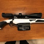 On scale in Cadex.jpg