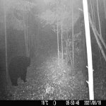 vlcsnap-2021-10-16-10h25m23s598.jpg
