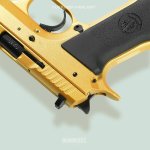 Customer Hilite - Golden Jericho 941 (4).jpg