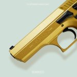 Customer Hilite - Golden Jericho 941 (5).jpg