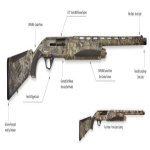 timberfx.jpg