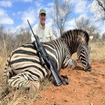 Zebra.jpg