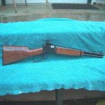 BROWNING BL 22 Micro.jpg