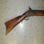 Tiger Tail Maple.jpg Tiger Tail Maple.jpg