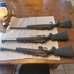 IMG_20210817_193521.jpg IMG_20210817_193521.jpg