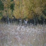 DSC_0023.jpg