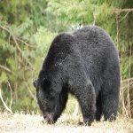 DSC_0031.jpg