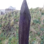 DSCN1165.jpg DSCN1165.jpg