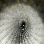 DSCN1657.jpg DSCN1657.jpg