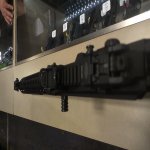 R18 w sights 2.jpg