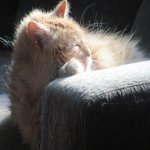 IMG_0717.jpg