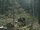 PICT0112.jpg