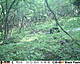 HUNT0016.jpg