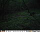 HUNT0023.jpg
