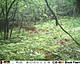 HUNT0025.jpg