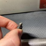Screw.jpg