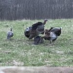 IMG_9037.jpg