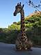 Giraffe pedestal mount.JPG Giraffe pedestal mount.JPG