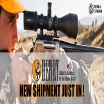 HenryNewArrival.jpg HenryNewArrival.jpg