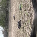 IMG_9170.jpg