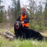 BEAR.jpg BEAR.jpg