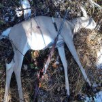 20201011_110745.jpg 20201011_110745.jpg