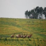 DSC_0079.jpg