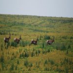 DSC_0103.jpg