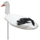 up.png