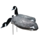 up3.png
