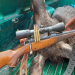 338-06 BSA 2022 moose.jpg